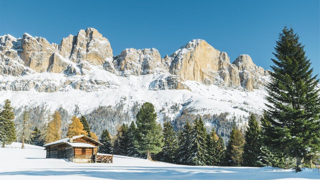 On the traces of hare and deer | Dolomiti SuperSummer