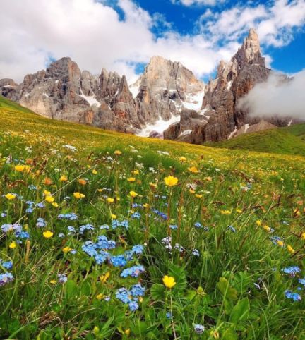 Custodia Viaggio A Doppio Strato - Temu Switzerland